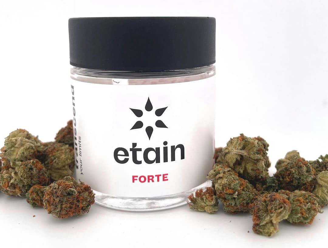 Forte 7g Smalls - Crème Brûlée