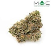 Z Animal X Bully Kush | 3.5g*