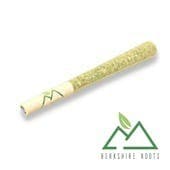Orange Chemeleon Pre-Rolls | 1g - Signature