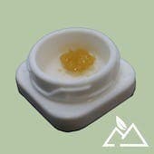 Star Pupil LIVE Sugar | .5g