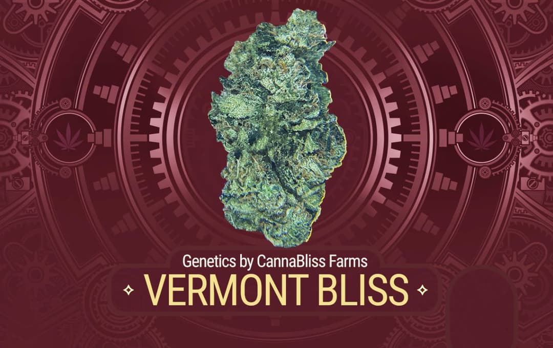 Vermont Bliss
