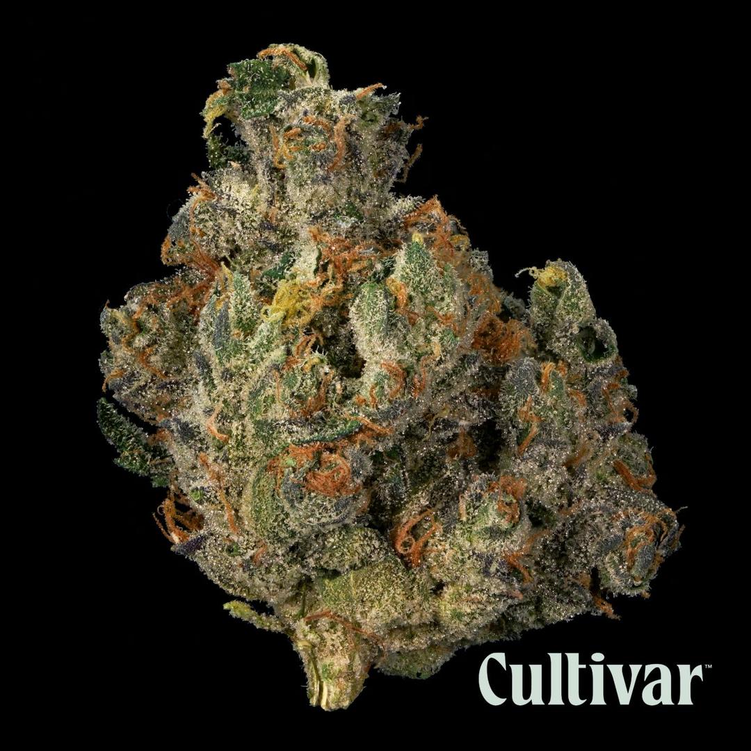 Brr Berry OG - 3.5g Premium Flower