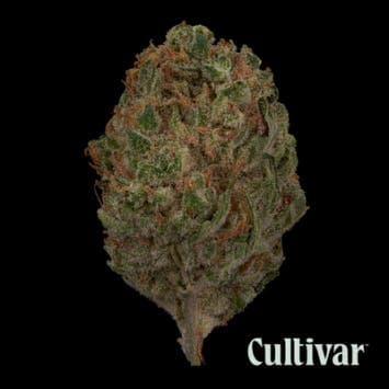 Cherry Pie - 3.5g Premium Flower