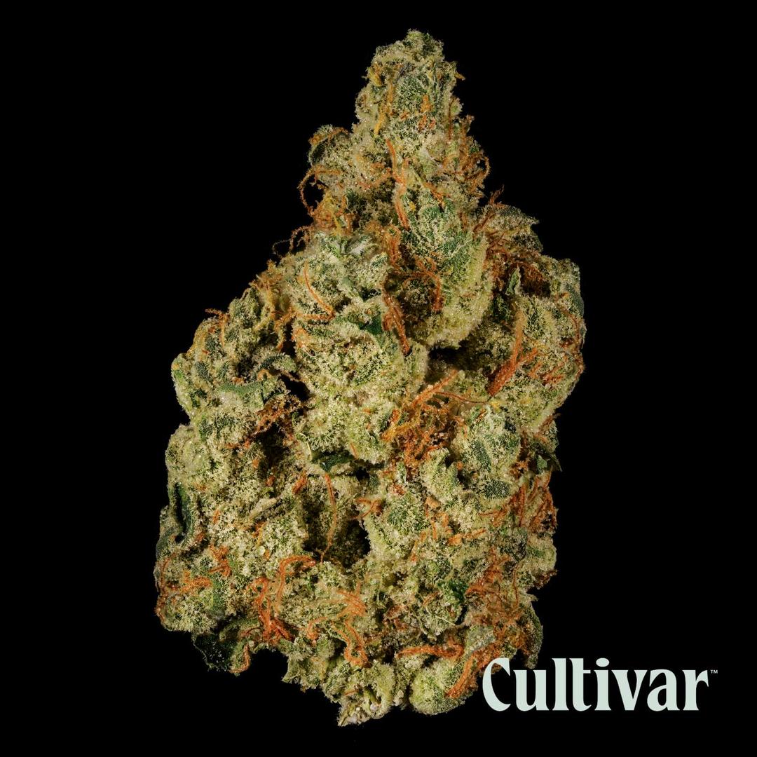 GMO - 3.5g Premium Flower