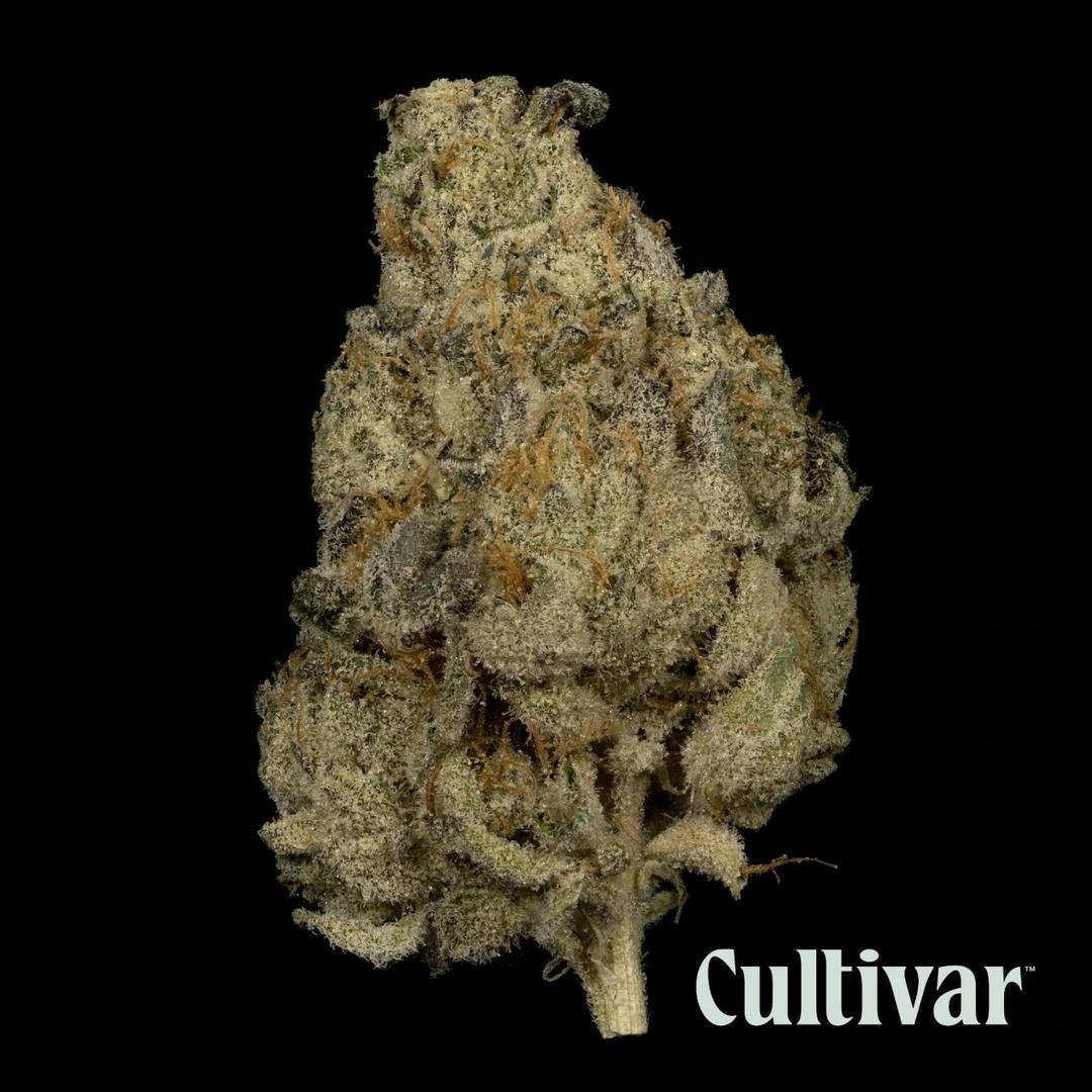 LA Kush Cake - 3.5g Premium Flower