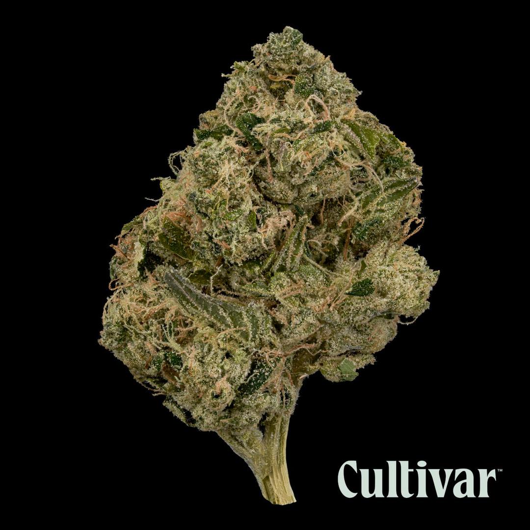 Rae Bae - 3.5g Premium Flower