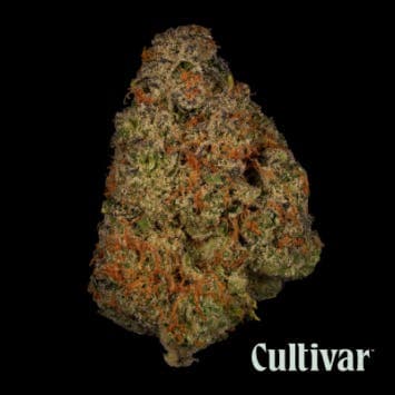 The Beaves - 3.5g Premium Flower