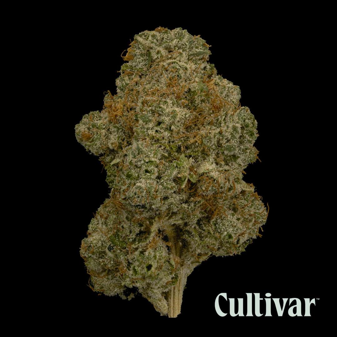 Triangle Hashplant - 3.5g Premium Flower