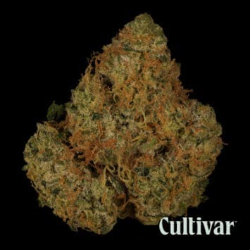 Wedding Cake #2 - 3.5g Premium Flower