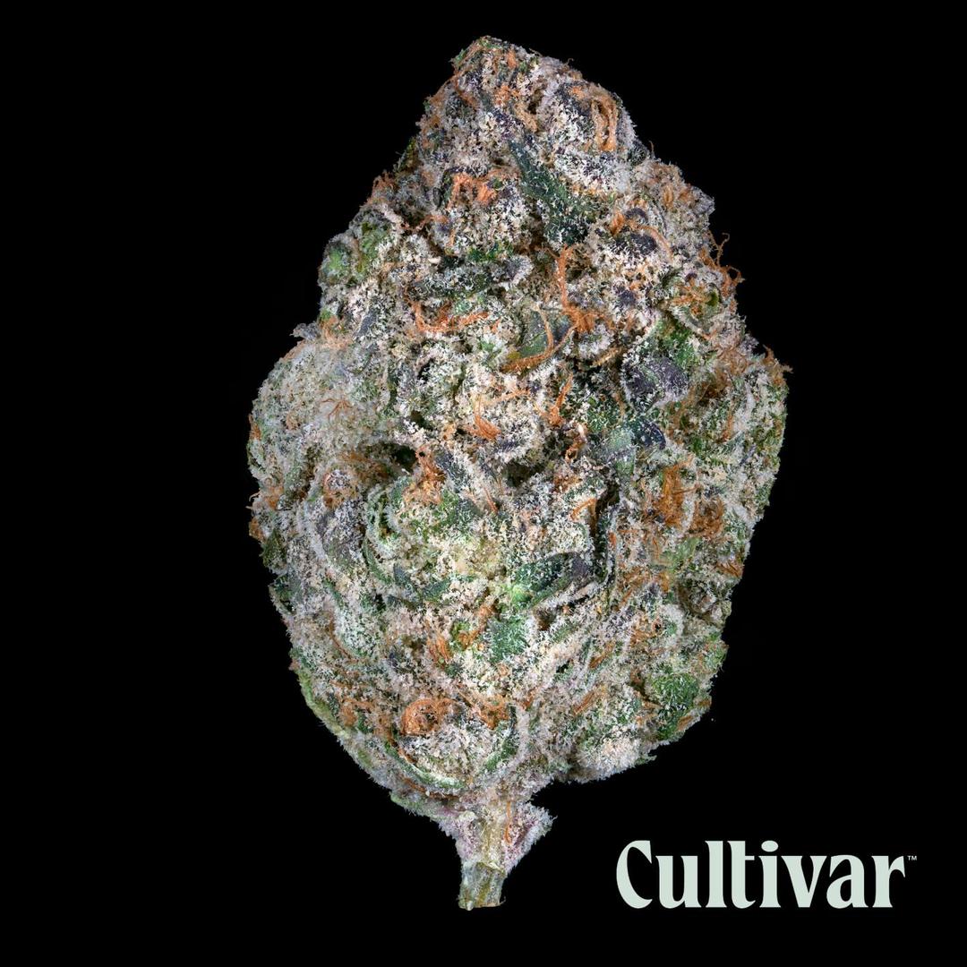 Zealousy - 3.5g Premium Flower