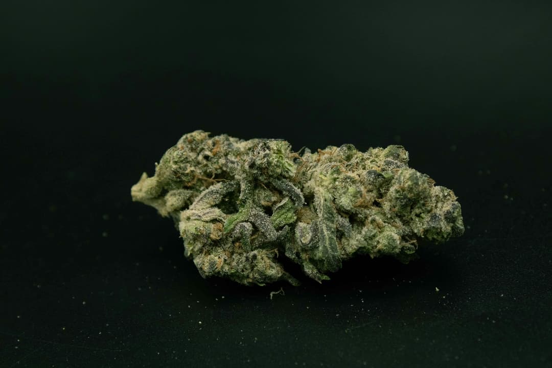 GovernMint Oasis 1/2 Ounce/14Grams(33%THC,HYBRID)