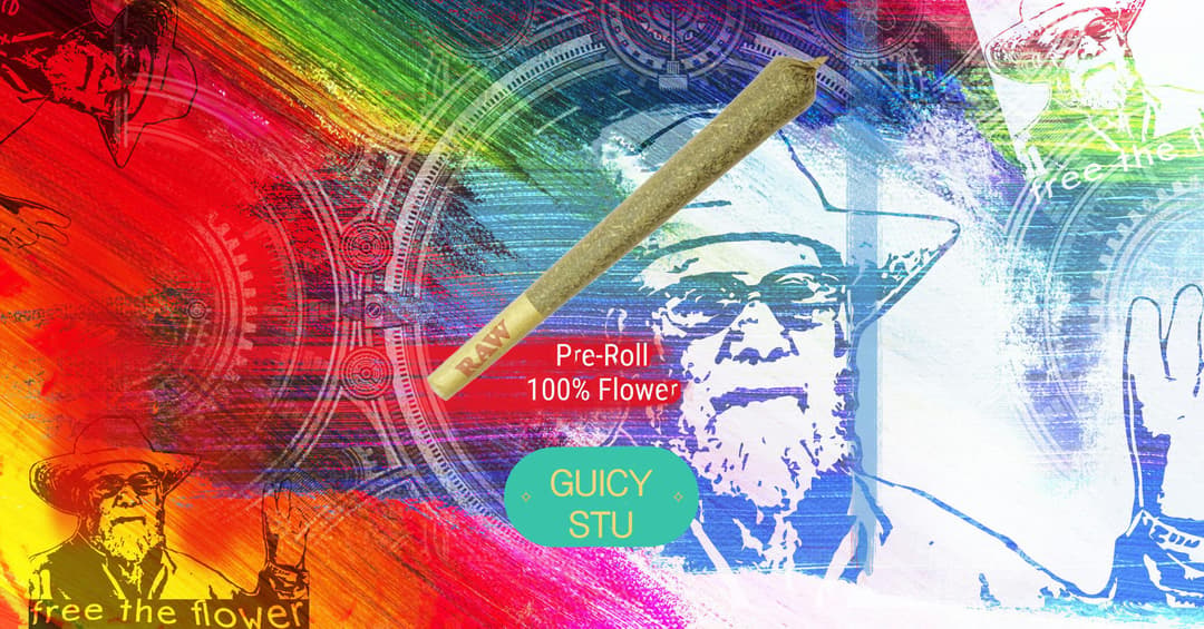 Guicy Stu