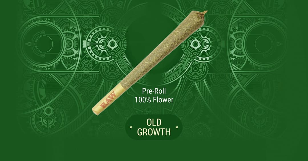 Old Growth