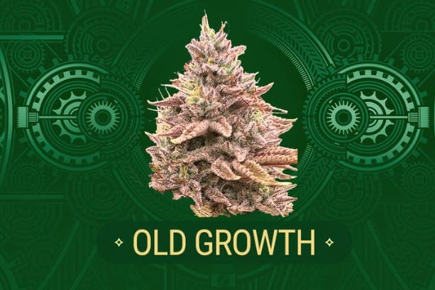 Old Growth