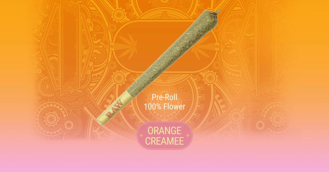 Orange Creamee