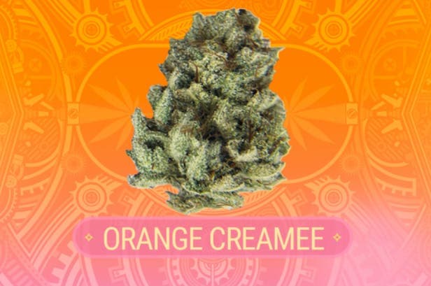 Orange Creamee