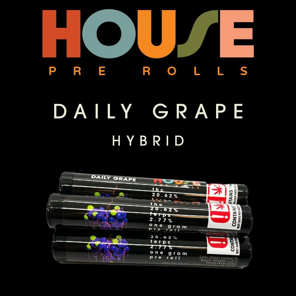 House - Daily Grape 1g Preroll