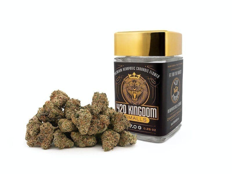 Mango Mintality - 7g Smalls