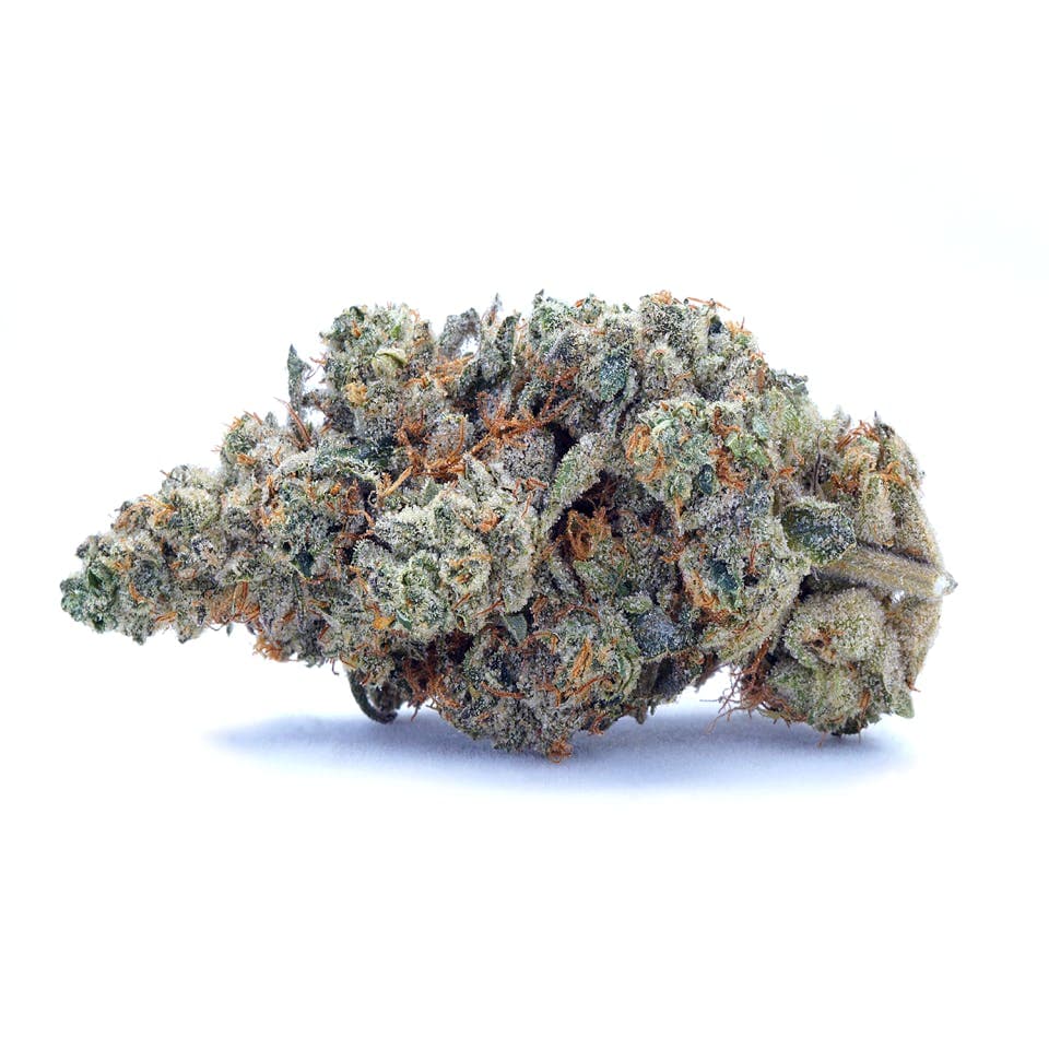 Black Truffle | Indoor 3.5g