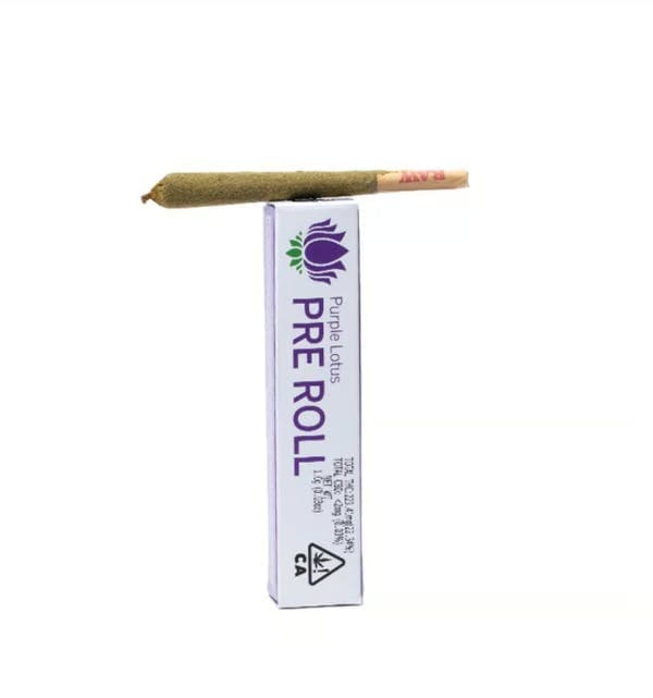 KING LOUIS OG INFUSED PREROLL 1g