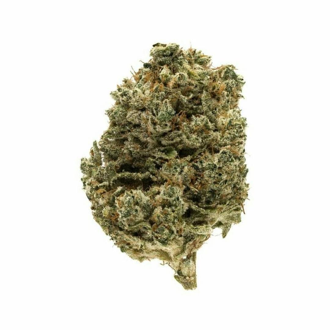 GREASE MONKEY (MID-SHELF)