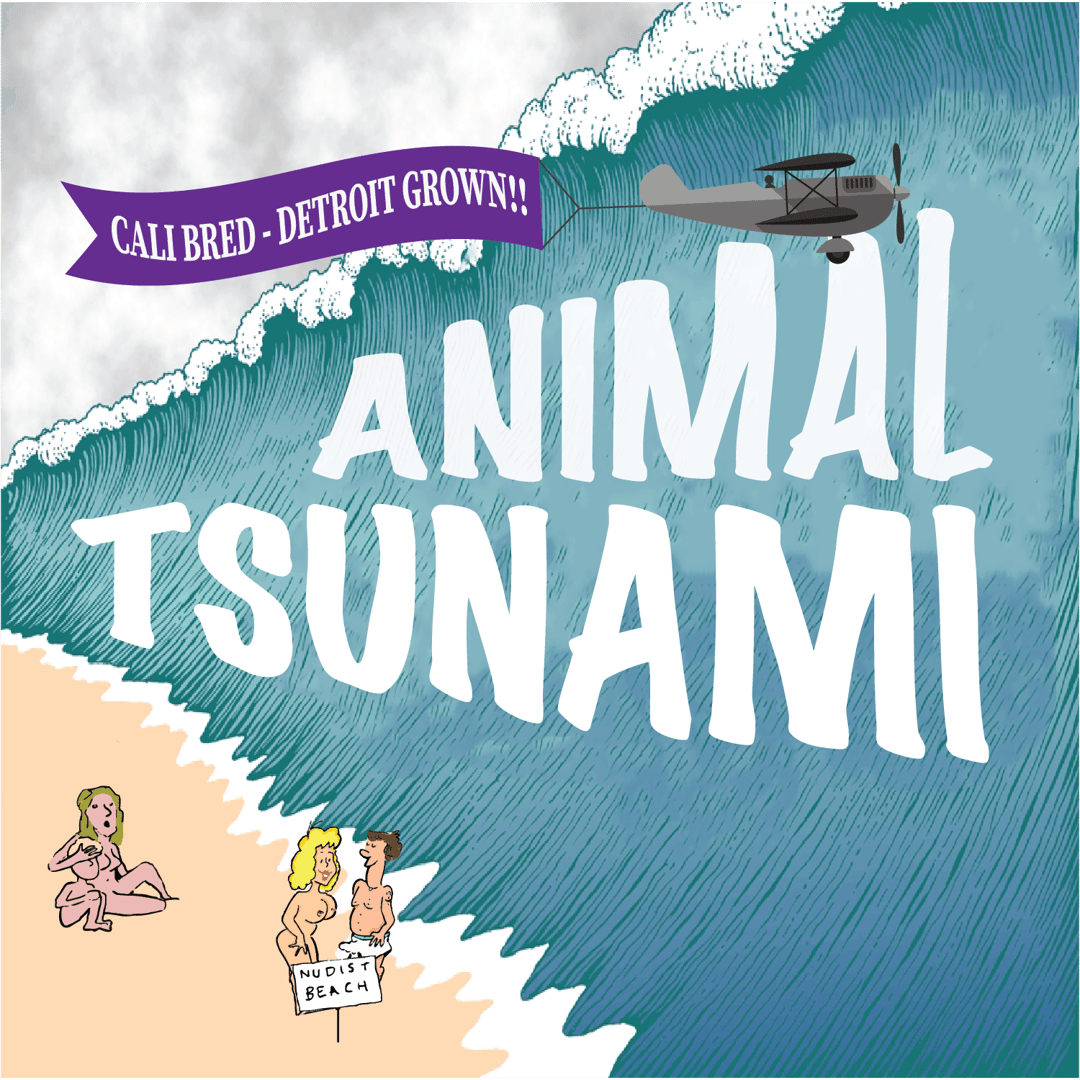 Animal Tsunami