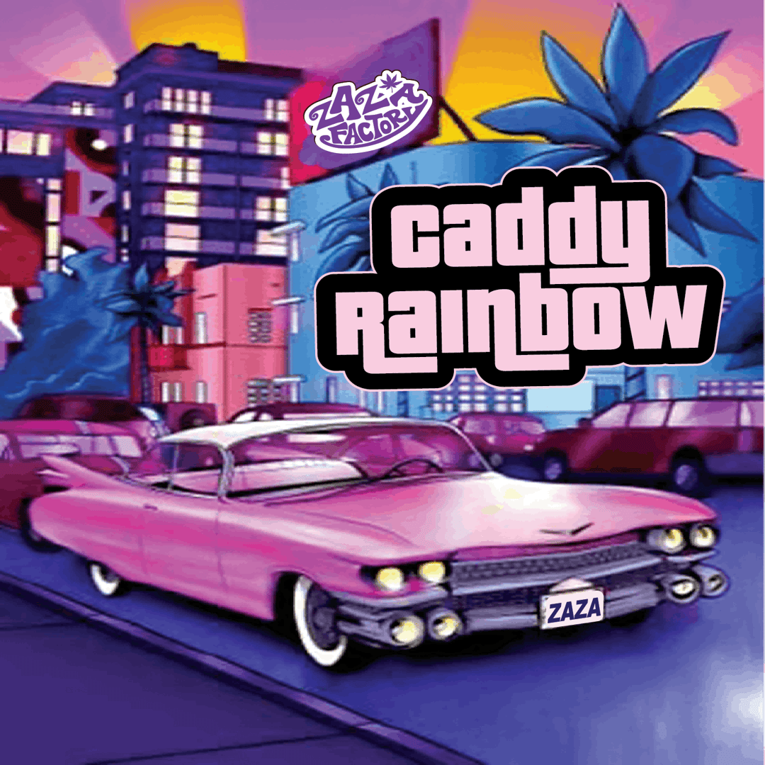 Caddy Rainbow