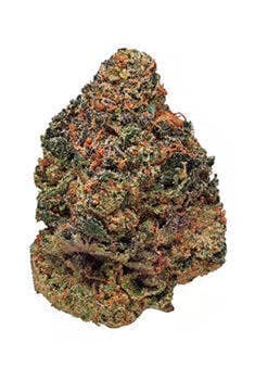 DURBAN POISON (MID-SHELF)