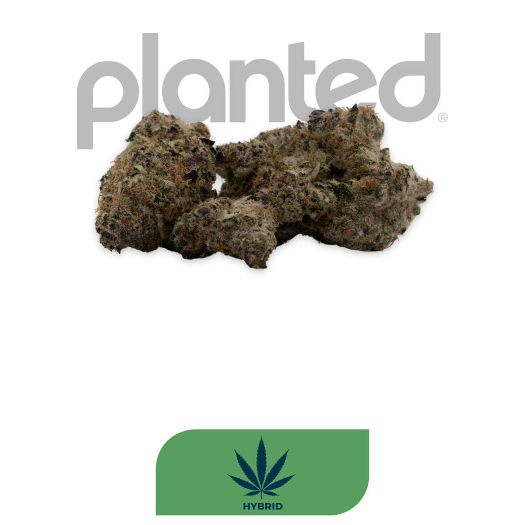 Jet Fuel