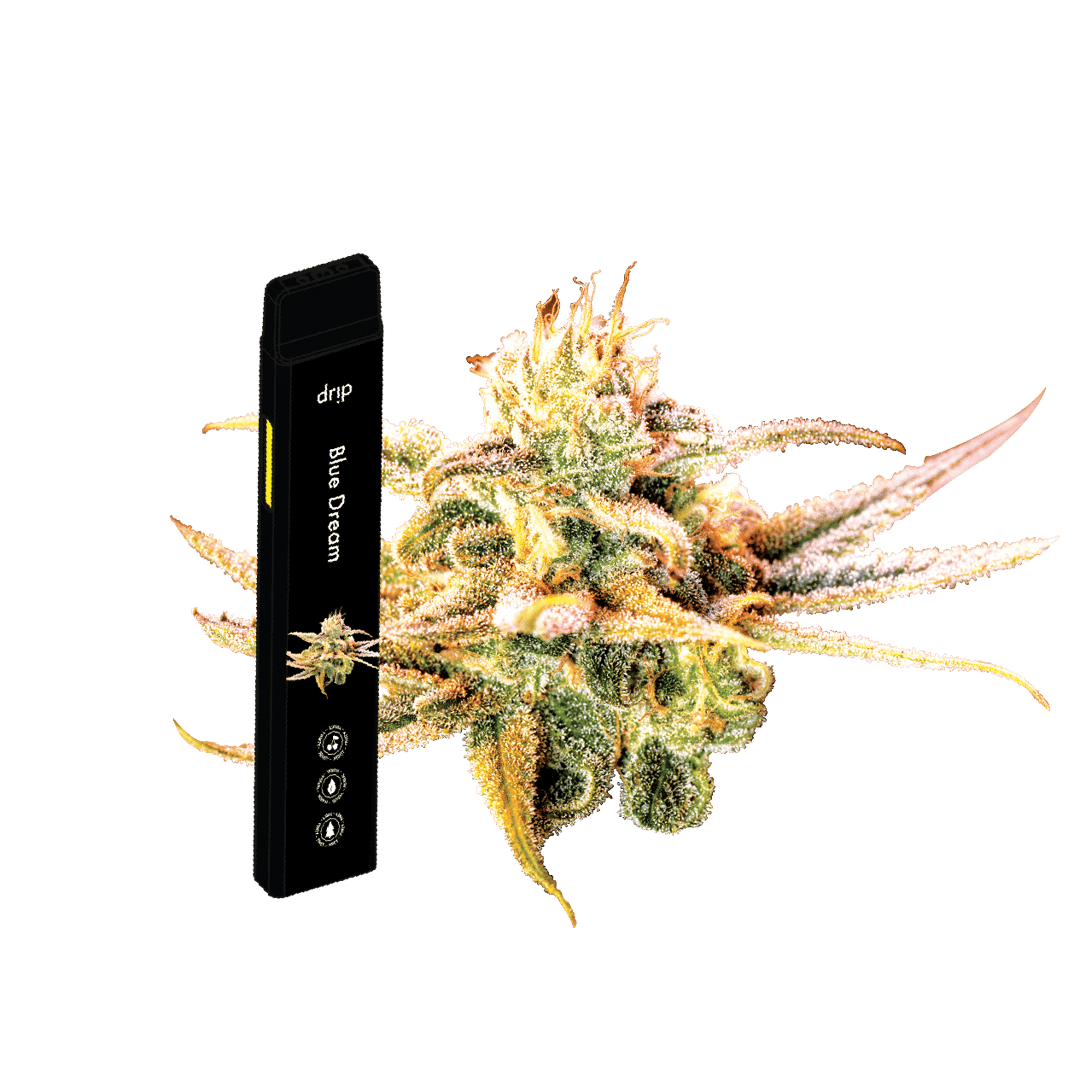 Drip 2g All In One - Blue Dream (Sativa)