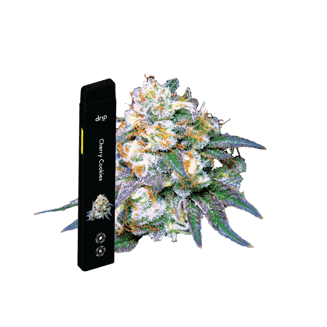 Drip 2g All In One - Cherry Cookies (Hybrid)