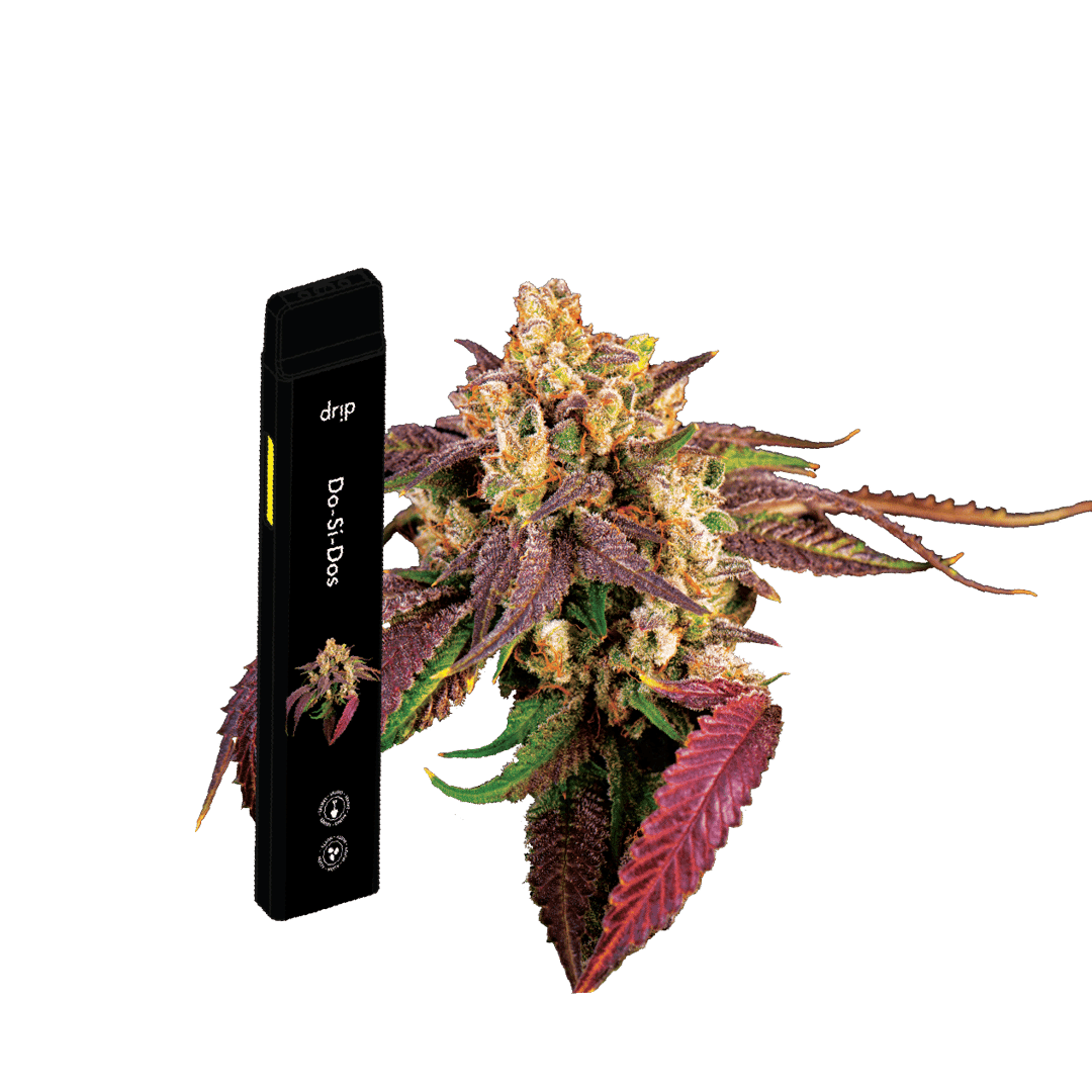 Drip 2g All In One (MED) - Do-Si-Dos (Indica)