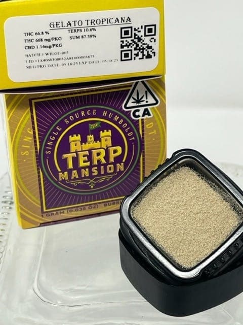 Gelato Tropicana Water Hash