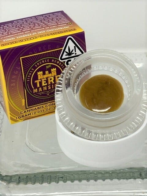 Gelato 41 Cured Rosin