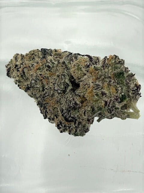 Grape Animal