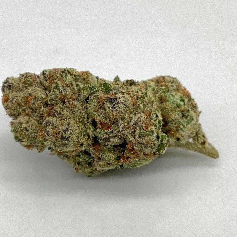 Lemon Cherry Gelato