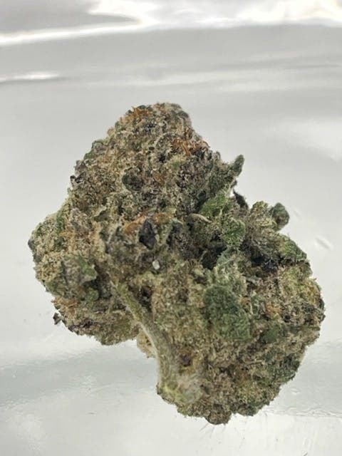 Thin Mint x Jealousy