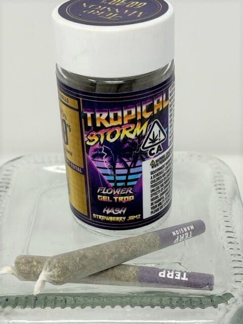 Tropical Storm 60/40 5pk