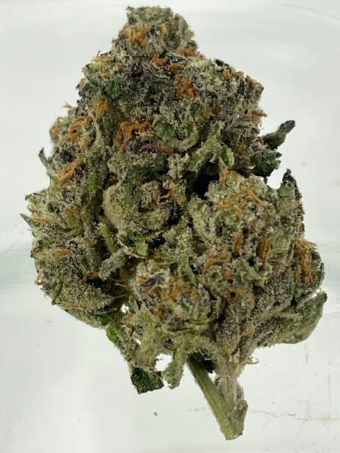 Sherbert