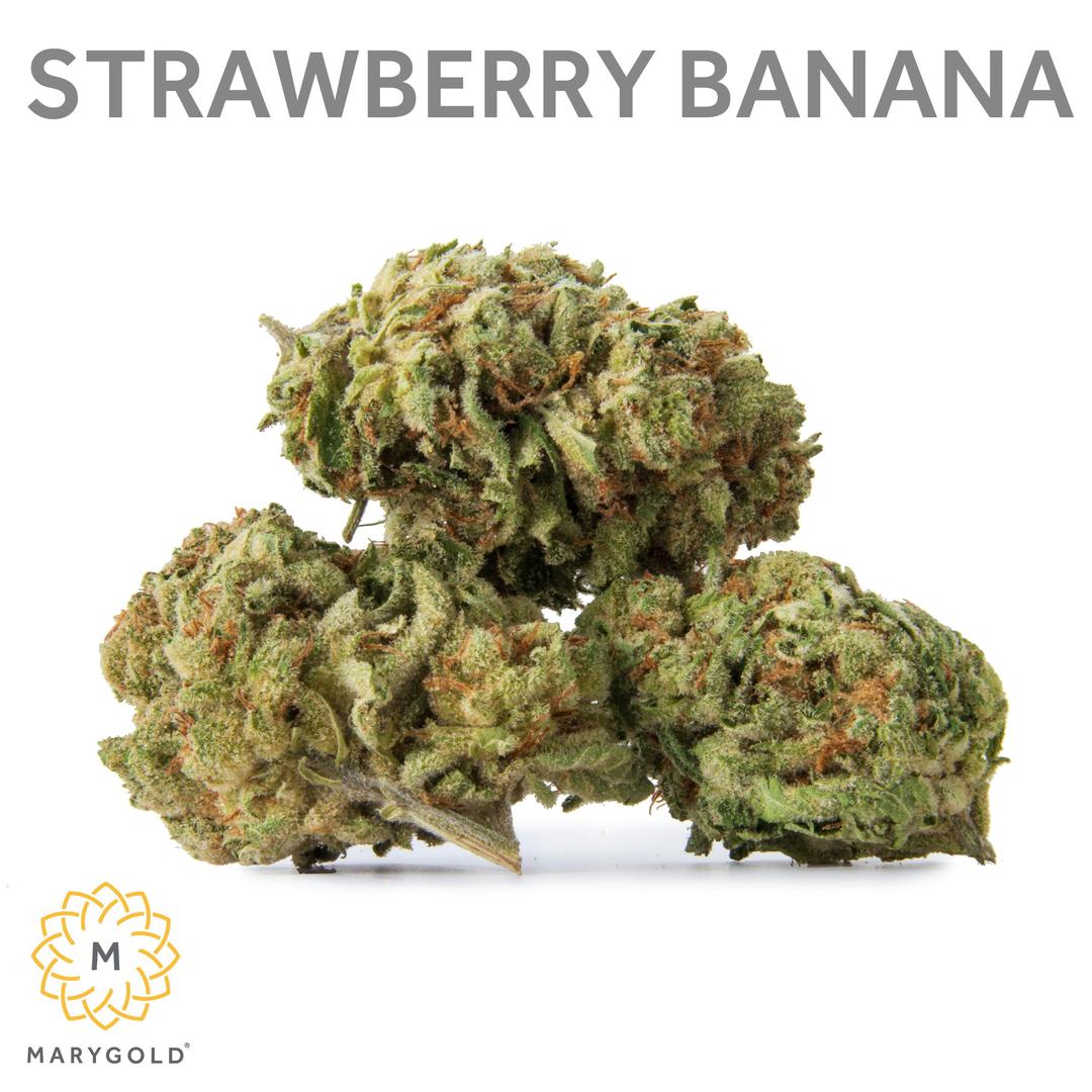 Strawberry Banana 14g (Hybrid 33% THC)
