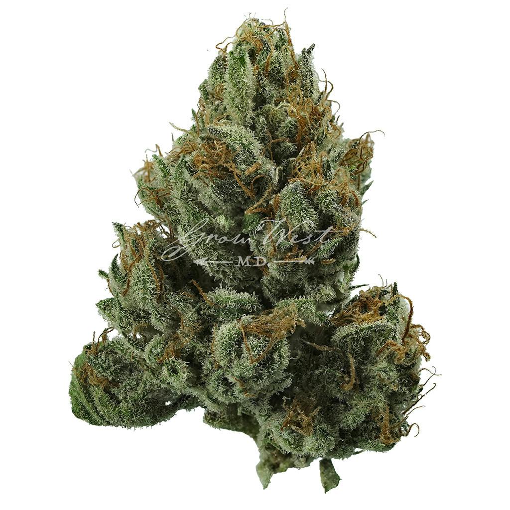Magic Haze | Gold | Trimmed | 3.5g