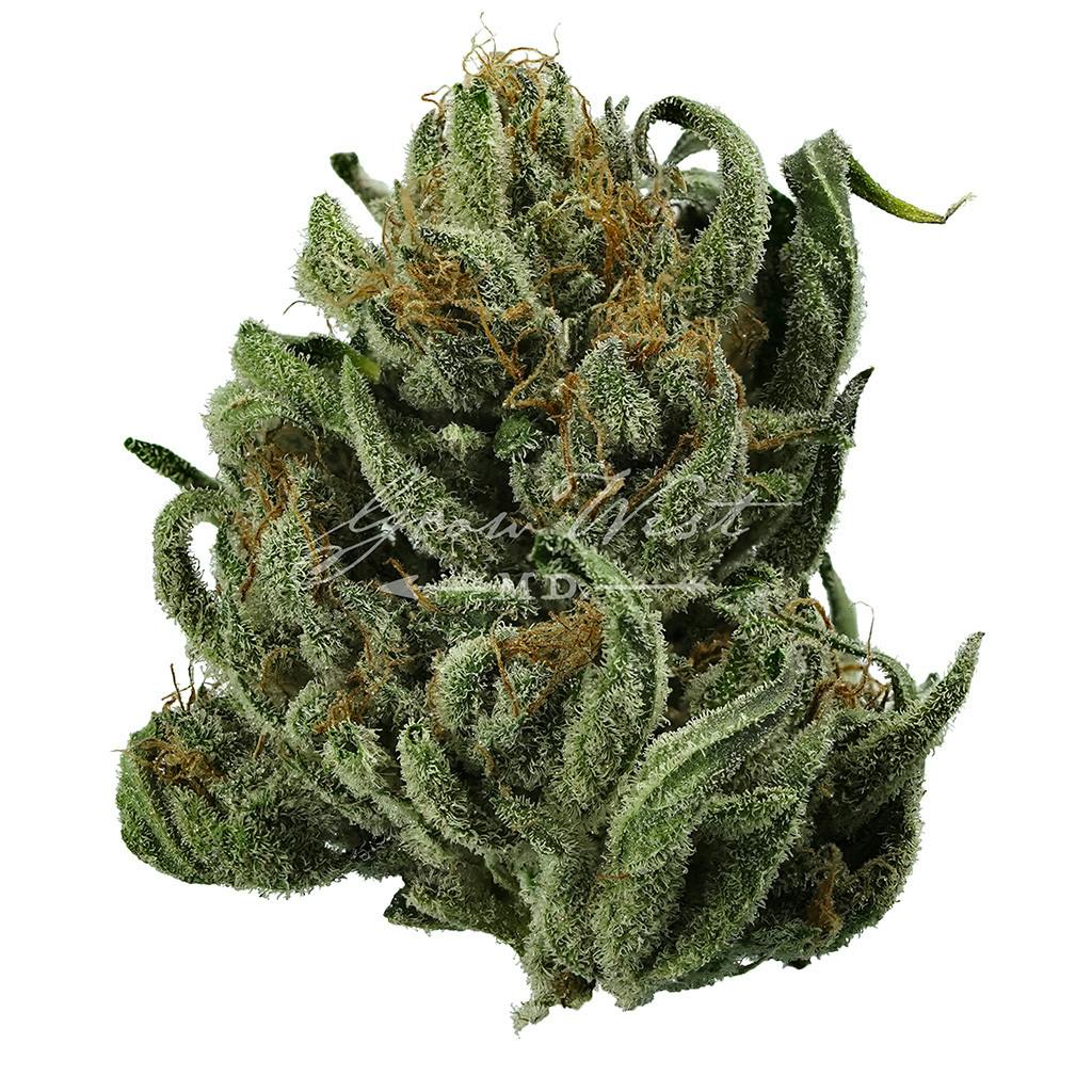 Magic Haze | Silver | Untrimmed | 3.5g