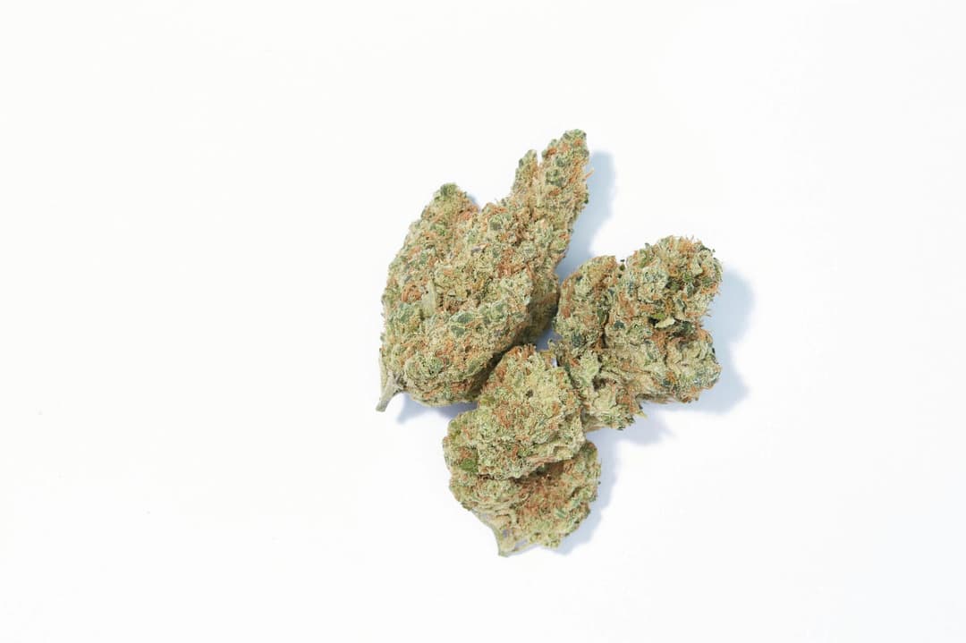 Black Truffle (Gelato X Runtz X GSC) - 3.5g Flower