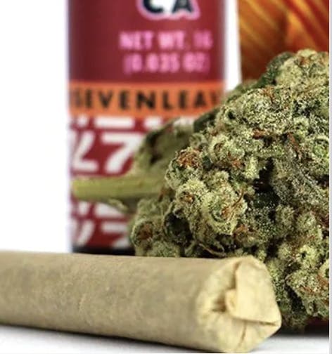 XJ13 Pre Roll