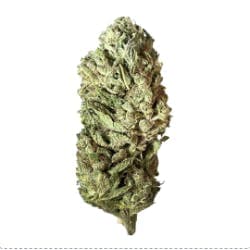 Exclusive - Froot by the Foot (I) - 28g