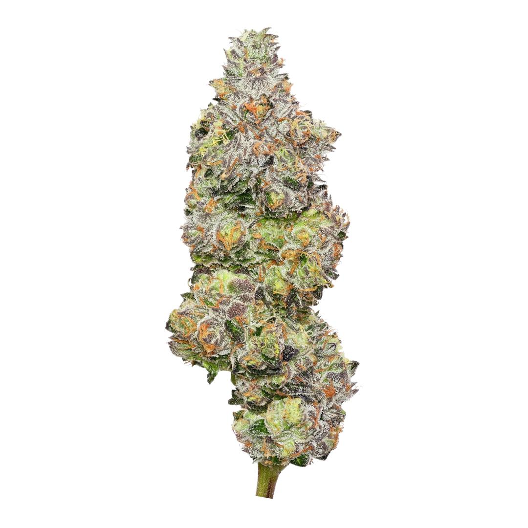 Chem D