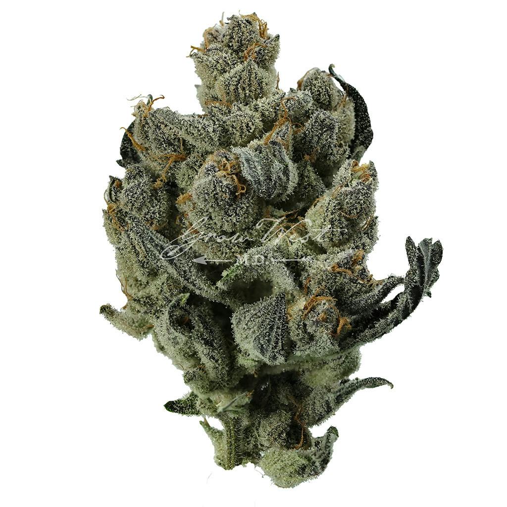 Mad Tiger | Silver | Untrimmed | 3.5g