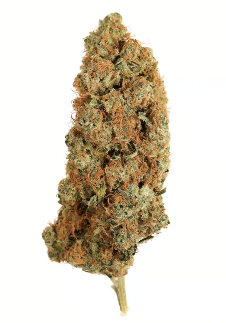 Orange Cookie Chem