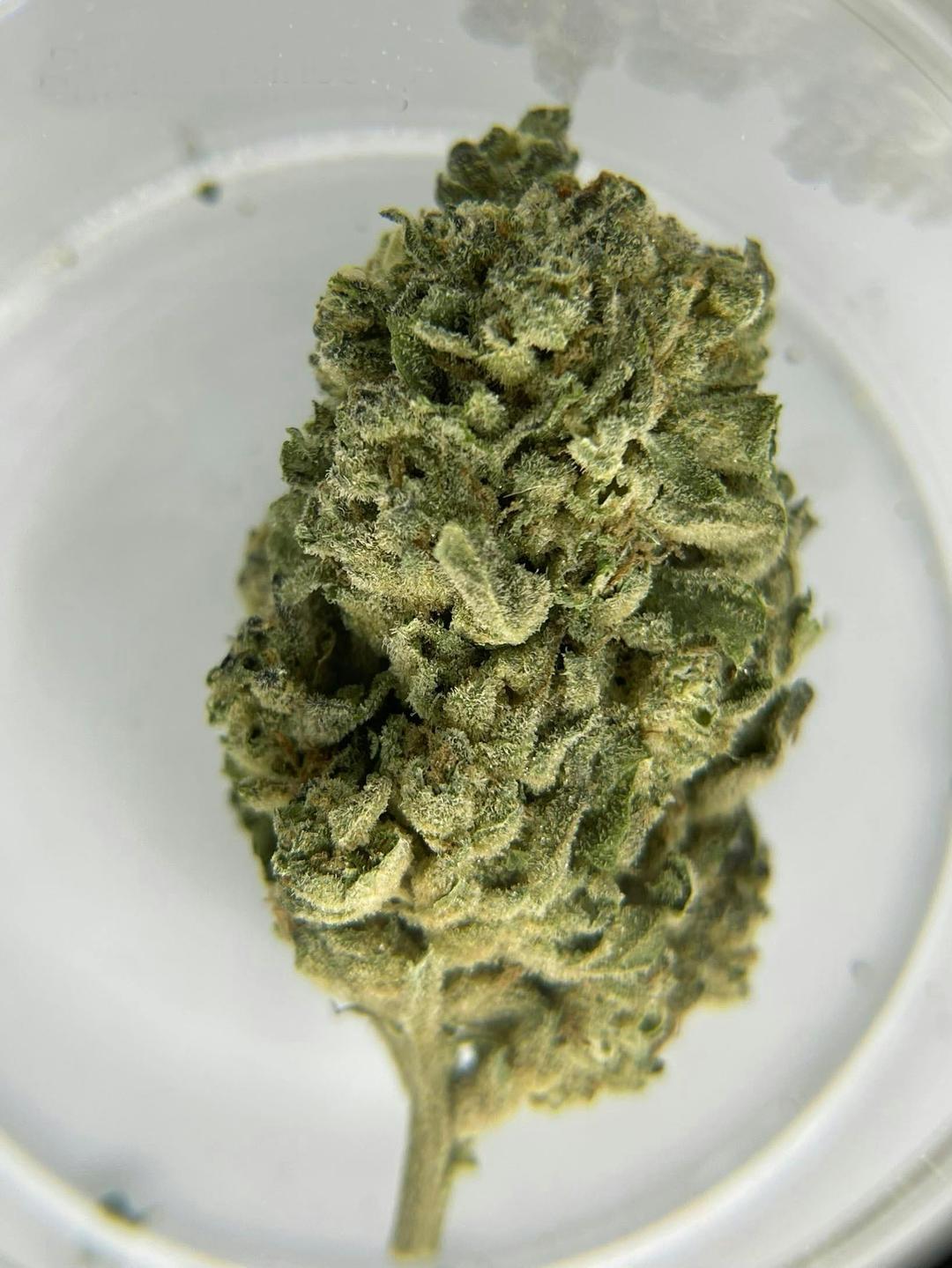 Purple Princess 1/2Ounce/14Grams(28%THC,INDICA)