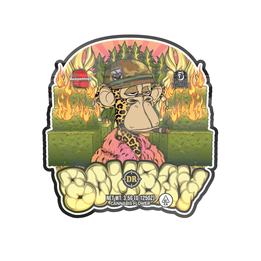 Dr Bombay - 3.5G